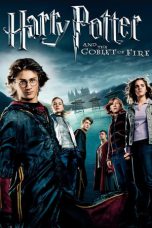 Harry Potter and the Goblet of Fire (2005) BluRay 480p & 720p Download