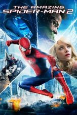 The Amazing Spider-Man 2 (2014) BluRay 480p & 720p HD Movie Download