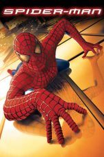 Spider-Man (2002) BluRay 480p & 720p HD Movie Download