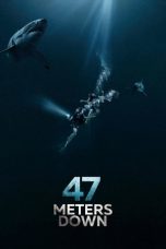 47 Meters Down (2017) BluRay 480p & 720p Free HD Movie Download