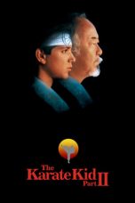 The Karate Kid Part II (1986) BluRay 480p & 720p Free Movie Download