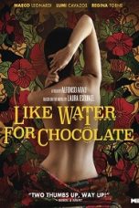 Like Water for Chocolate (1992) BluRay 480p, 720p & 1080p Mkvking - Mkvking.com