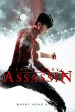 Legendary Assassin (2008) BluRay 480p, 720p & 1080p Mkvking - Mkvking.com