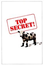 Top Secret! (1984) BluRay 480p, 720p & 1080p Mkvking - Mkvking.com