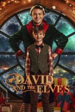 David and the Elves (2021) WEBRip 480p, 720p & 1080p Mkvking - Mkvking.com