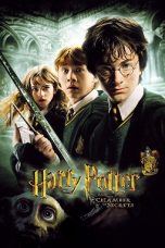 Harry Potter and the Chamber of Secrets (2002) BluRay 480p, 720p & 1080p Mkvking - Mkvking.com