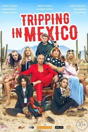 Movie: Tripping in Mexico (2019) | MP4 DOWNLOAD Index Links
